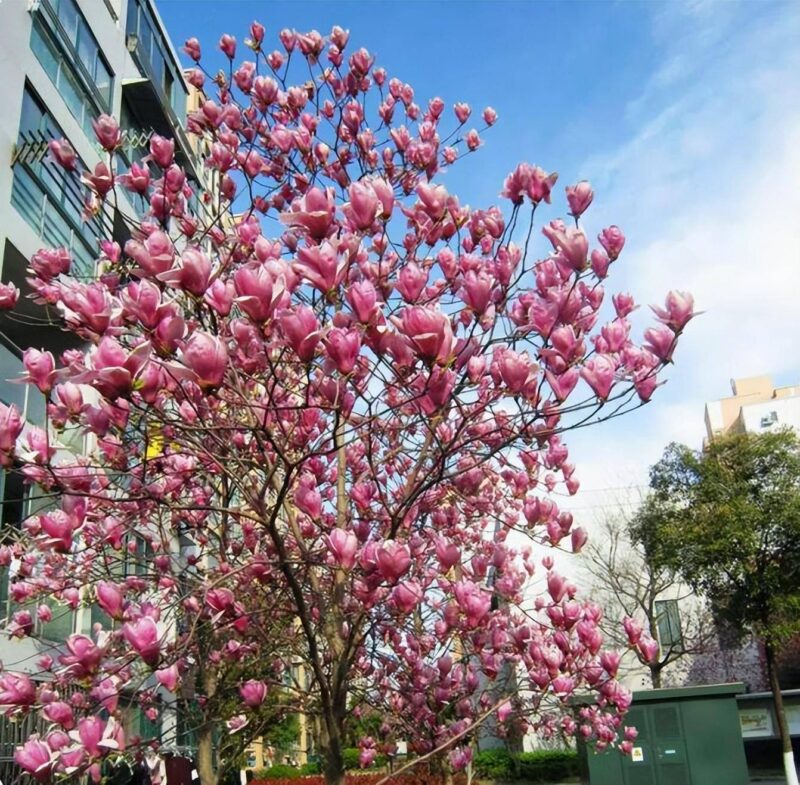 在家养什么能挣钱投资小的-1 在家养什么能挣钱投资小的-1