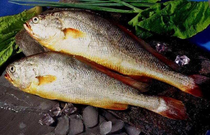 最贵的海鲜排行榜(世上最贵的海鲜)-1 最贵的海鲜排行榜(世上最贵的海鲜)-1