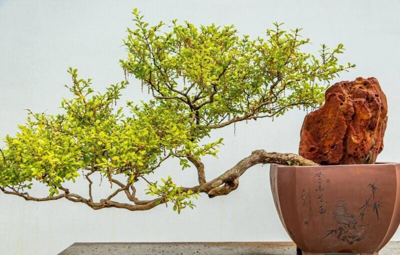 在家养什么能挣钱投资小的-1 在家养什么能挣钱投资小的-1