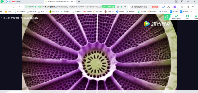 如何保存网页视频到电脑-1 如何保存网页视频到电脑-1