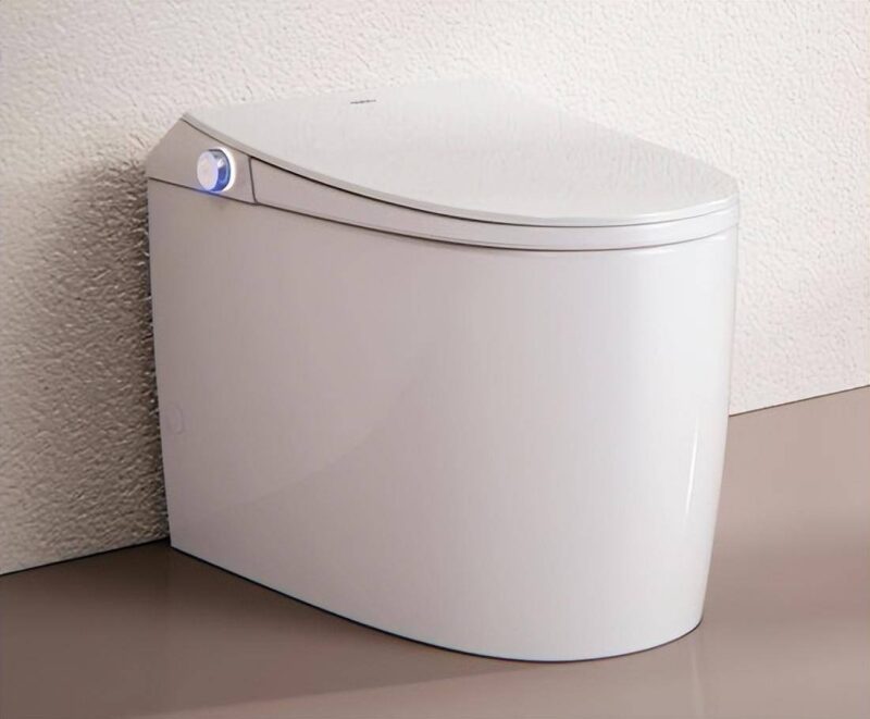 智能马桶什么牌子好呢?智能马桶排行榜-1 智能马桶什么牌子好呢?智能马桶排行榜-1