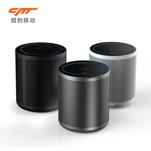 智能家用音响排名前十名（十大音响品牌排行榜）-1