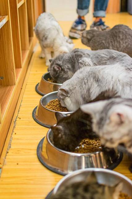 现在年轻人创业做什么比较好?适合年轻人干的行业-1 现在年轻人创业做什么比较好?适合年轻人干的行业-1