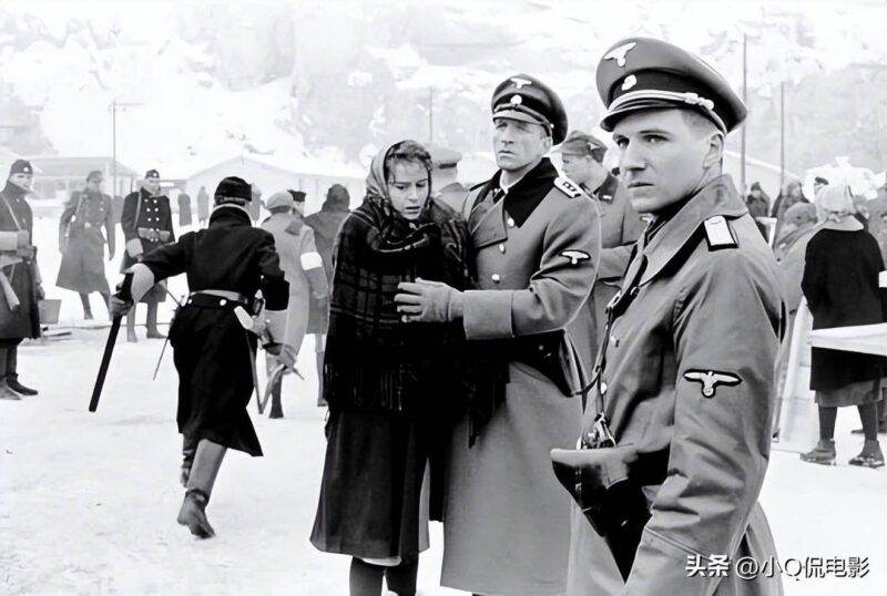 世界十大值得看的电影（世界必看电影排行榜）-1