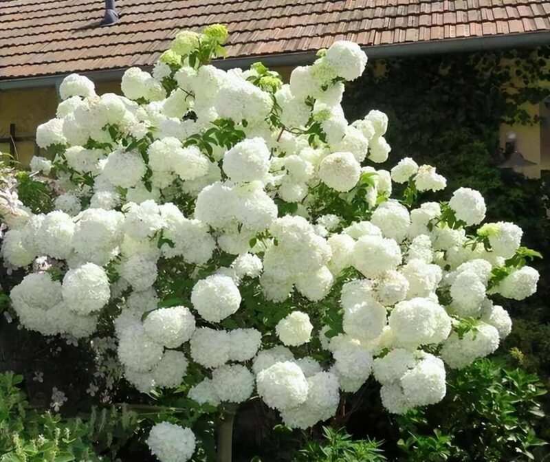 在家养什么能挣钱投资小的-1 在家养什么能挣钱投资小的-1