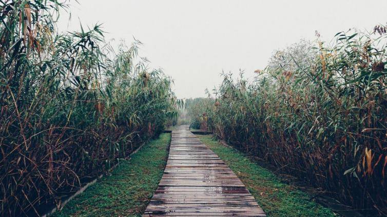 西安最出名的景区有哪些(西安名胜景点前十名排行榜)-1 西安最出名的景区有哪些(西安名胜景点前十名排行榜)-1