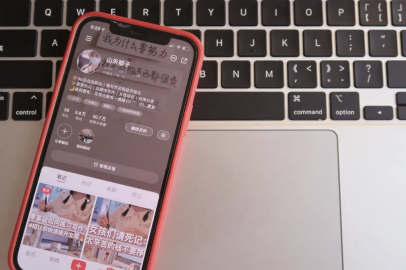 有什么网络项目可以做的-1 有什么网络项目可以做的-1