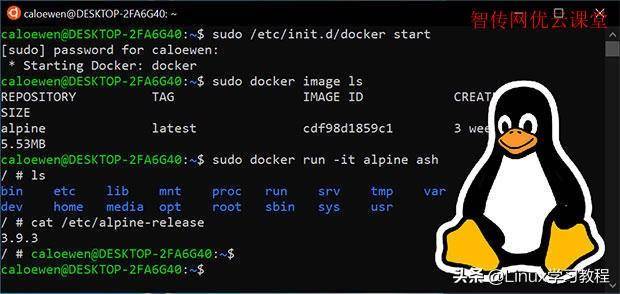 linuxroot权限怎么开启-1