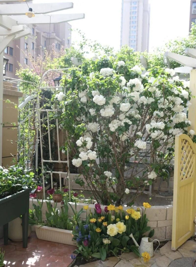 在家养什么能挣钱投资小的-1 在家养什么能挣钱投资小的-1