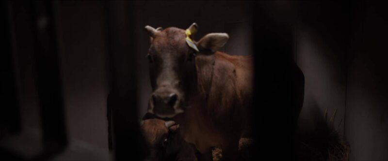 好看电视剧推荐前十名2023-1 好看电视剧推荐前十名2023-1