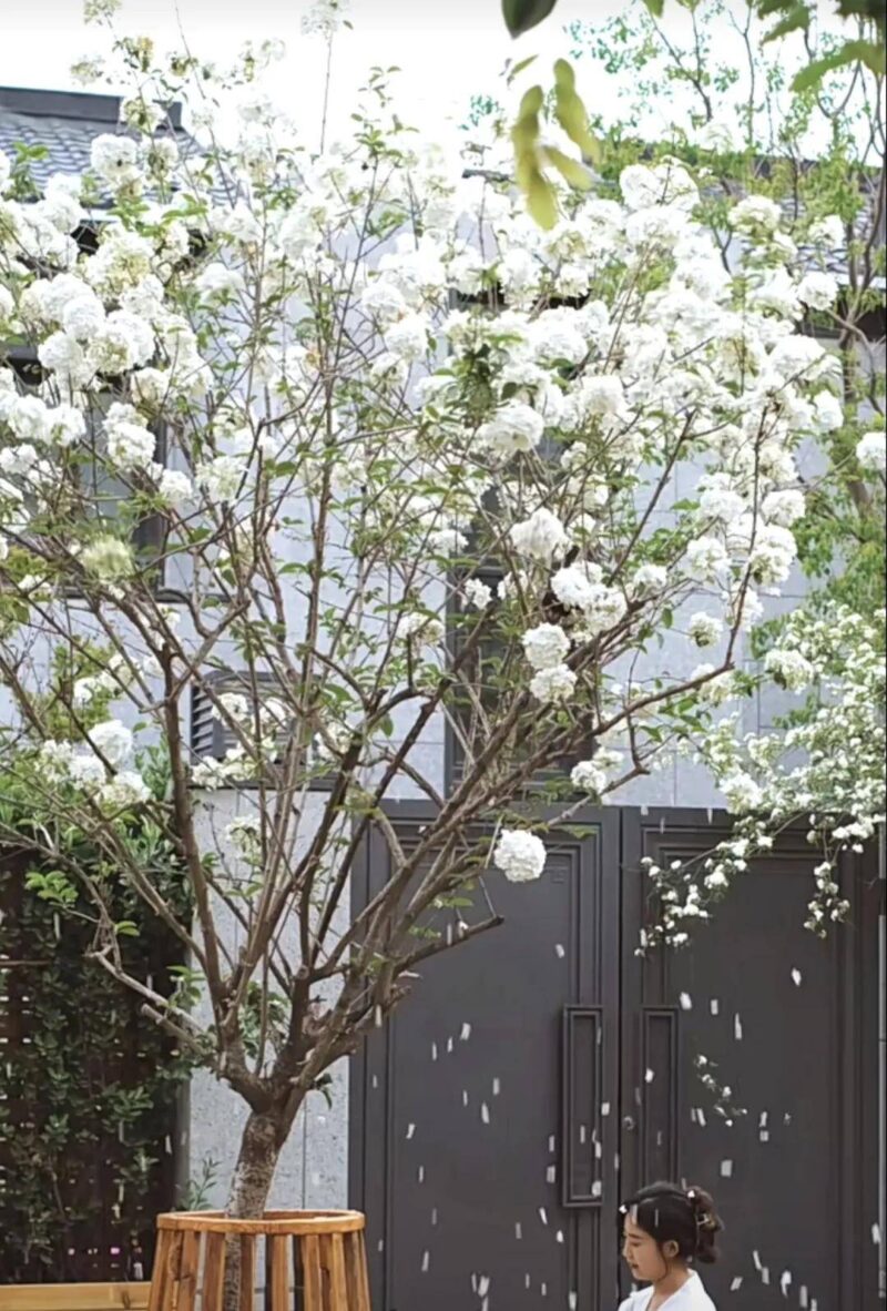 在家养什么能挣钱投资小的-1 在家养什么能挣钱投资小的-1