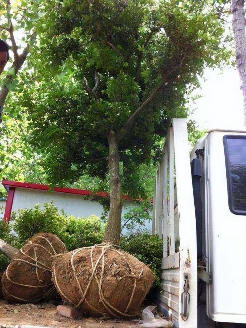 在家养什么能挣钱投资小的-1 在家养什么能挣钱投资小的-1