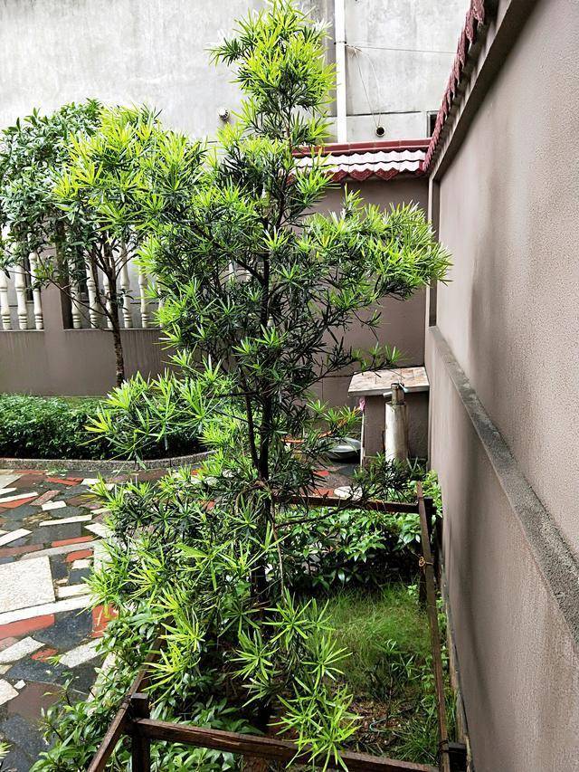 在家养什么能挣钱投资小的-1 在家养什么能挣钱投资小的-1