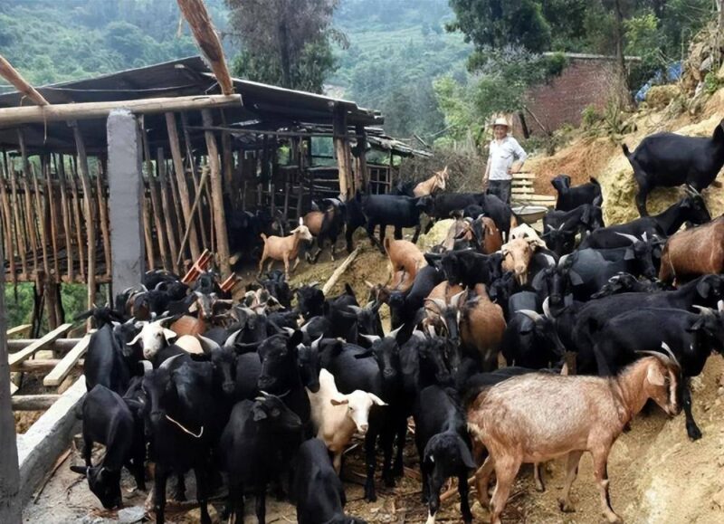 现在年轻人创业做什么比较好?适合年轻人干的行业-1 现在年轻人创业做什么比较好?适合年轻人干的行业-1