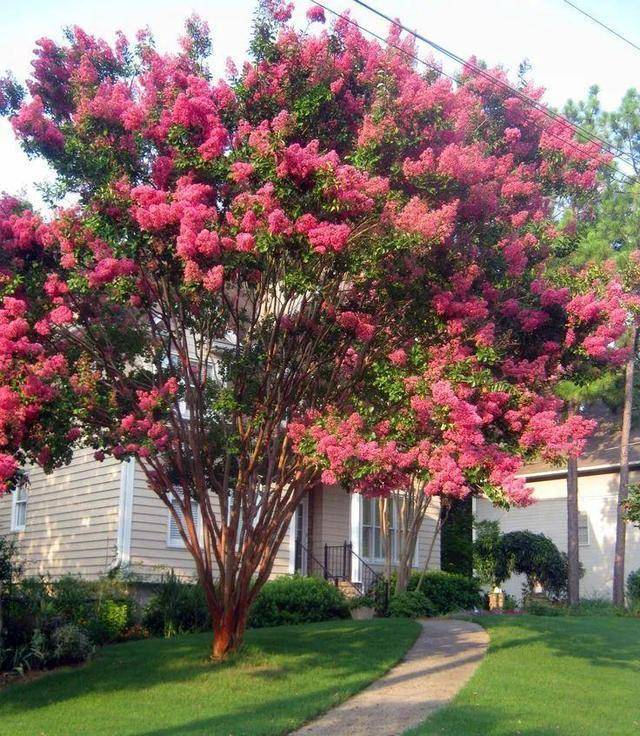 在家养什么能挣钱投资小的-1 在家养什么能挣钱投资小的-1