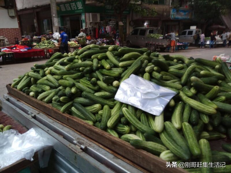 蔬菜批发一手货源在哪里找(新手做蔬菜生意拿货渠道)-赚在家创业号