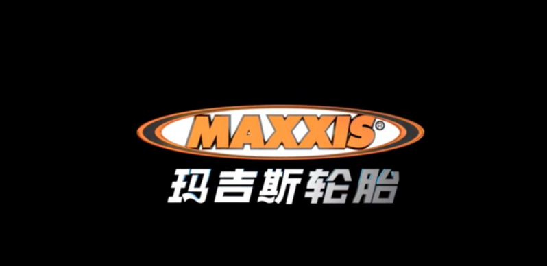 中国品牌轮胎排名前十名(轮胎十大品牌排行榜)-1 中国品牌轮胎排名前十名(轮胎十大品牌排行榜)-1