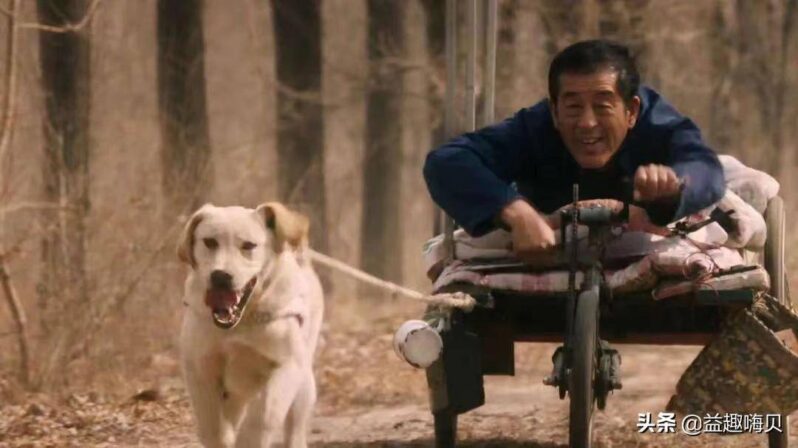 关于狗狗的电影排行榜前十名-1