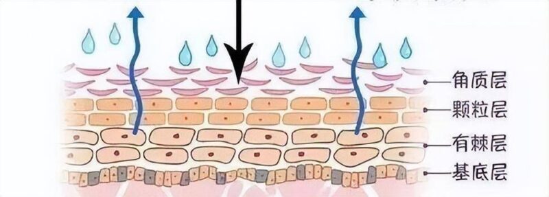 什么牌子的清洁面膜比较好用(清洁面膜排行榜前十名与用法解读)-1 什么牌子的清洁面膜比较好用(清洁面膜排行榜前十名与用法解读)-1