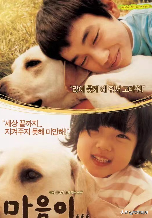 关于狗狗的电影排行榜前十名-1