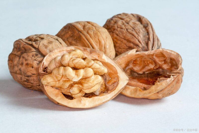 新疆特产有哪些?新疆十大土特产排行榜-1