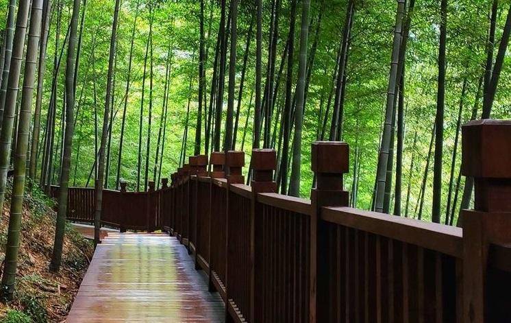 江苏旅游景点大全景点排名-1 江苏旅游景点大全景点排名-1