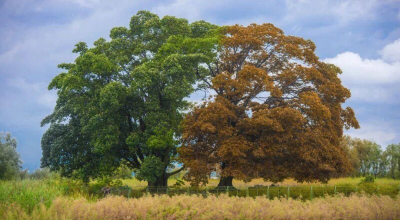 洱海旅游攻略-1 洱海旅游攻略-1