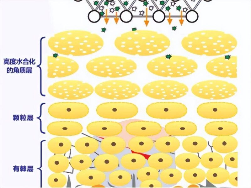 什么牌子的清洁面膜比较好用(清洁面膜排行榜前十名与用法解读)-1 什么牌子的清洁面膜比较好用(清洁面膜排行榜前十名与用法解读)-1