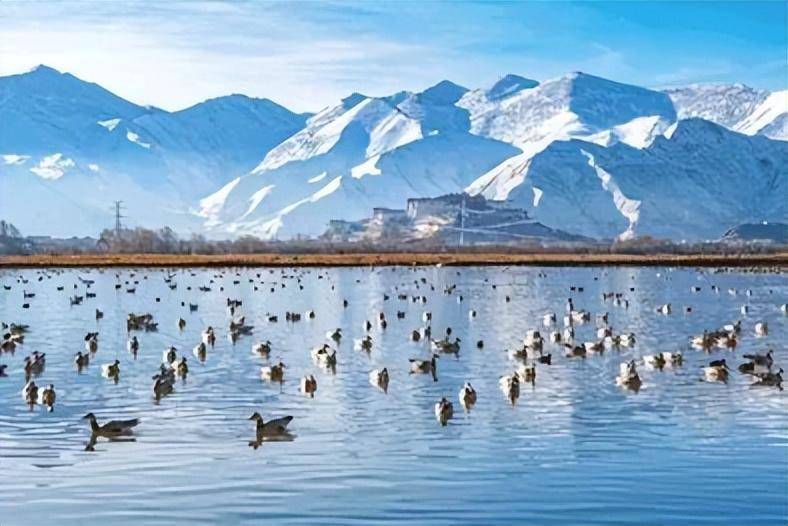 现在旅游去哪里最好玩?中国20个著名景点-1 现在旅游去哪里最好玩?中国20个著名景点-1