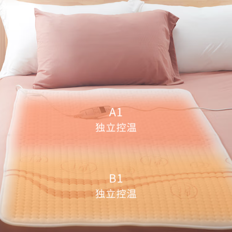 电热毯品牌前十大排名（电热水器十大公认品牌排行榜）-1