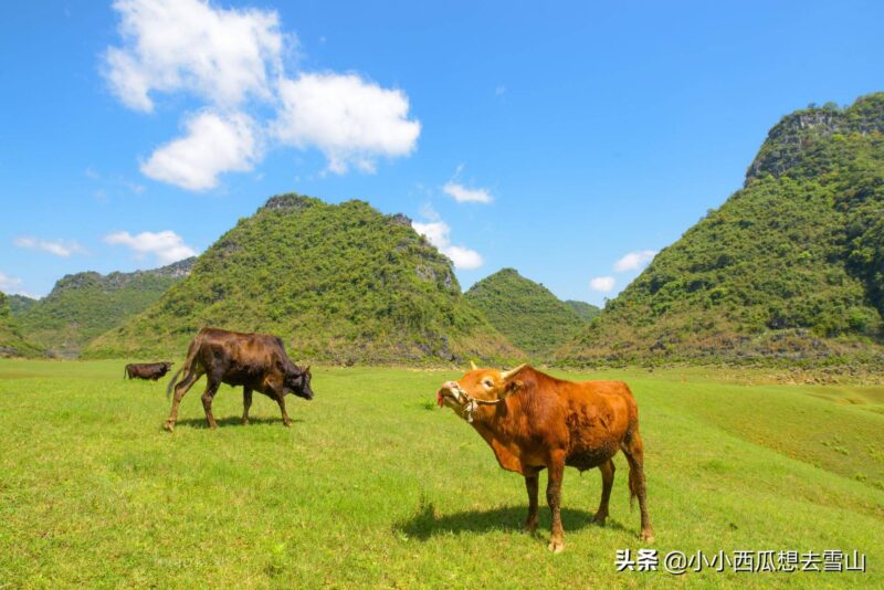 旅游城市排名榜(南北方旅游城市推荐)-1