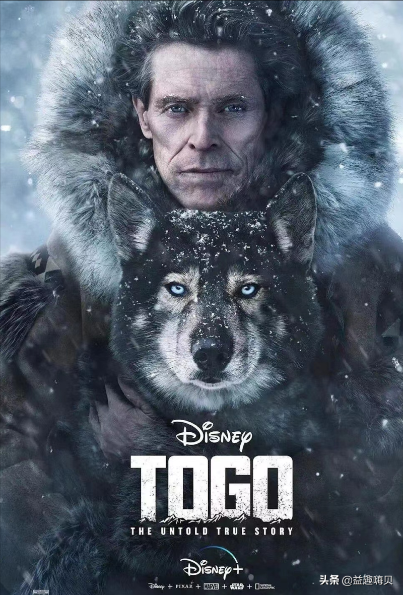 关于狗狗的电影排行榜前十名-1