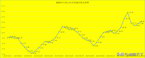 蛋鸡养殖成本与利润-1