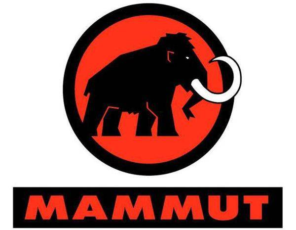 运动服装品牌推荐(运动品牌销量排行榜)-1 运动服装品牌推荐(运动品牌销量排行榜)-1