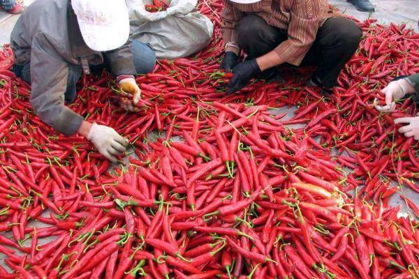 代加工什么项目好（不愁销路的小型加工厂）-1