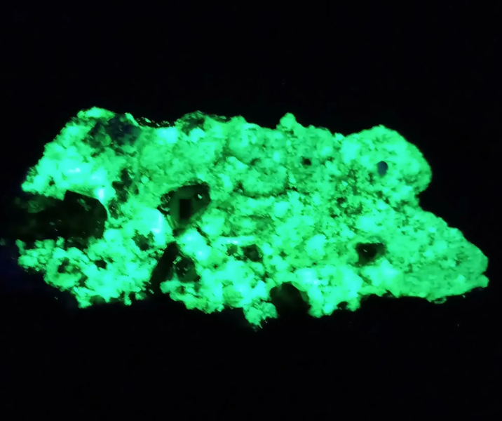 夜明珠到底是什么东西-1