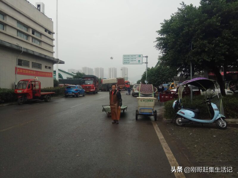 蔬菜批发一手货源在哪里找(新手做蔬菜生意拿货渠道)-1 蔬菜批发一手货源在哪里找(新手做蔬菜生意拿货渠道)-1
