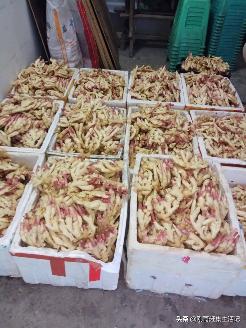 蔬菜批发一手货源在哪里找(新手做蔬菜生意拿货渠道)-1 蔬菜批发一手货源在哪里找(新手做蔬菜生意拿货渠道)-1