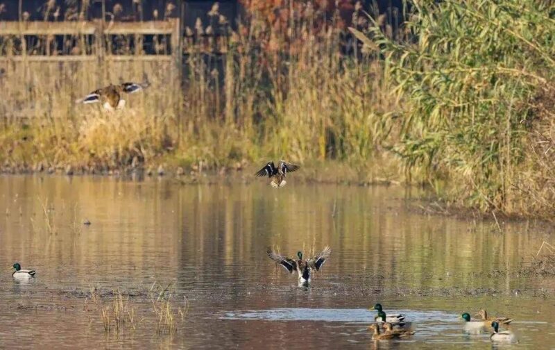 江苏旅游景点大全景点排名-1 江苏旅游景点大全景点排名-1
