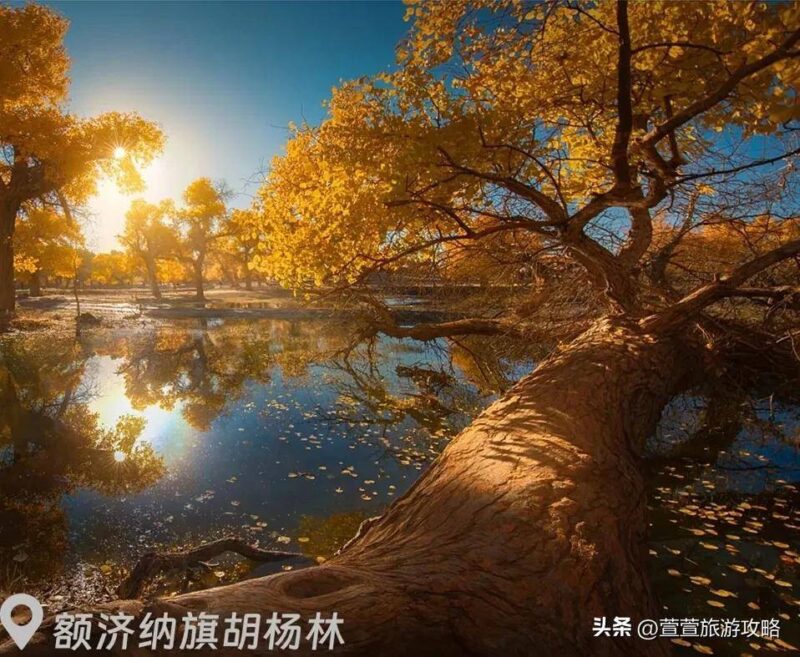 福建霞浦几月份去旅游最好(1-12月霞浦旅游的最佳攻略)-1