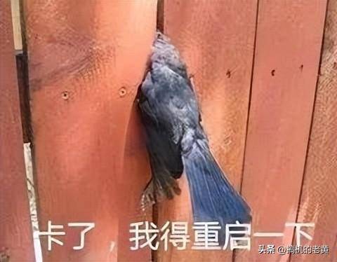 台式电脑蓝屏怎么解决办法-赚在家创业号