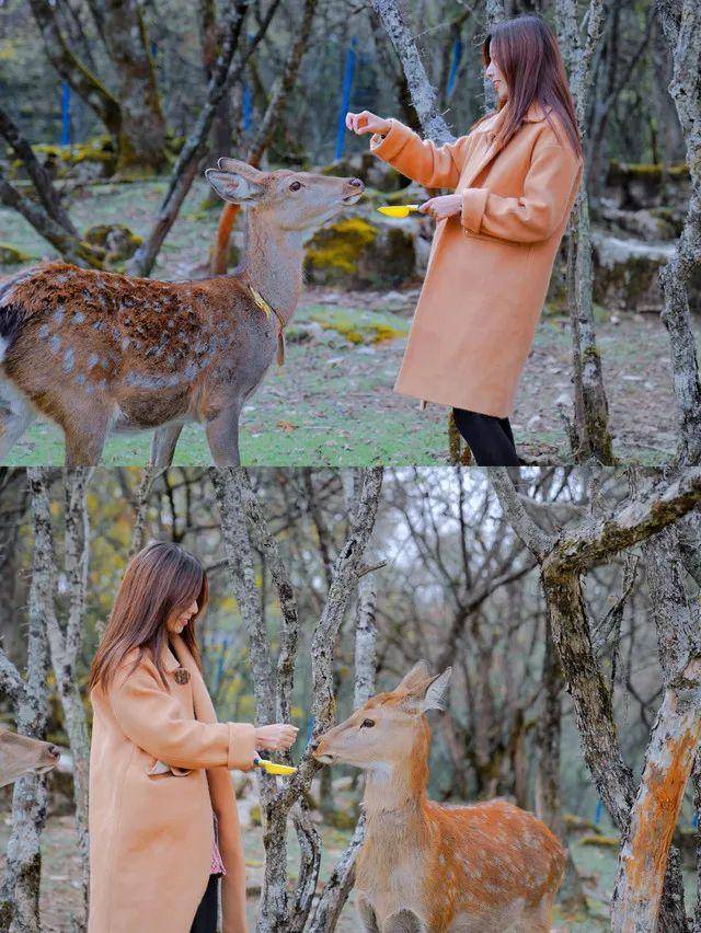 旅游攻略旅游景点推荐(国内旅游必去十大景点推荐排行榜)-1 旅游攻略旅游景点推荐(国内旅游必去十大景点推荐排行榜)-1