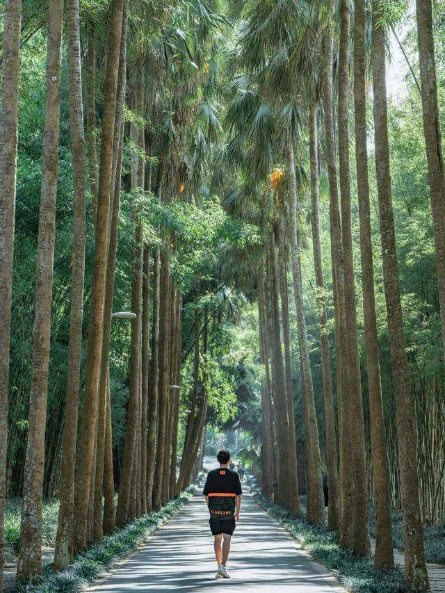 旅游攻略旅游景点推荐(国内旅游必去十大景点推荐排行榜)-1 旅游攻略旅游景点推荐(国内旅游必去十大景点推荐排行榜)-1