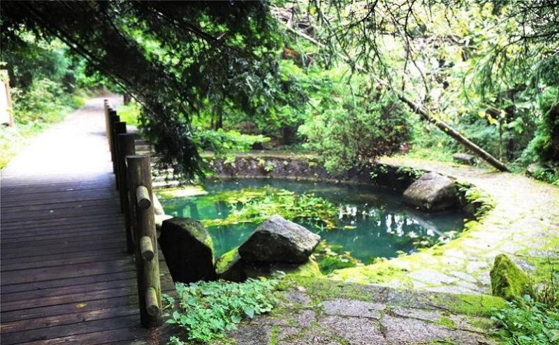 浙江哪里好玩景点排名(杭州旅游景点排行榜前十名)-1 浙江哪里好玩景点排名(杭州旅游景点排行榜前十名)-1