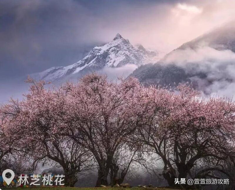 福建霞浦几月份去旅游最好(1-12月霞浦旅游的最佳攻略)-赚在家创业号