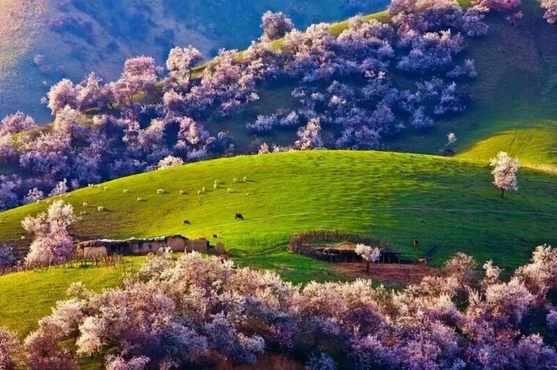 旅游攻略旅游景点推荐(国内旅游必去十大景点推荐排行榜)-1 旅游攻略旅游景点推荐(国内旅游必去十大景点推荐排行榜)-1