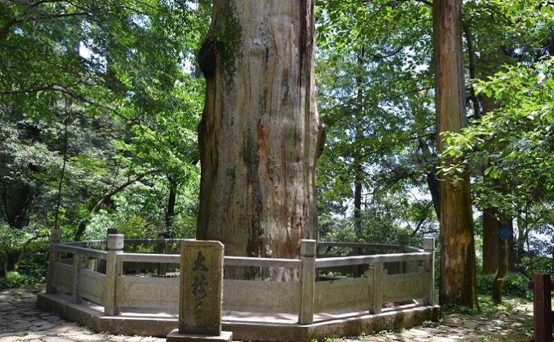 浙江哪里好玩景点排名(杭州旅游景点排行榜前十名)-1 浙江哪里好玩景点排名(杭州旅游景点排行榜前十名)-1