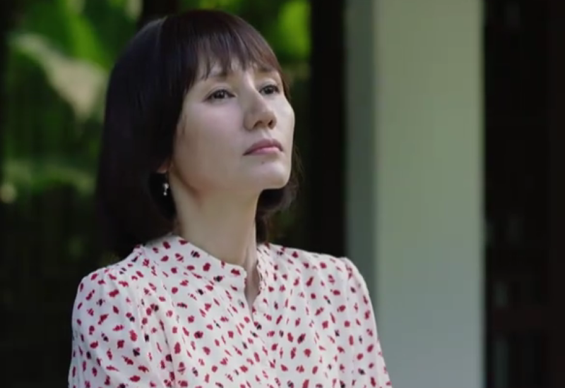 落花时节电视剧什么时候播放(落花时节电视剧介绍)-1