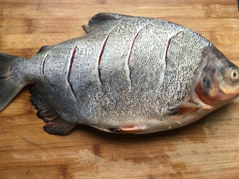 清蒸鱼什么鱼好吃-1 清蒸鱼什么鱼好吃-1