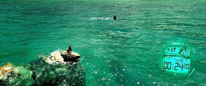 鲨鱼电影十大恐怖电影-1